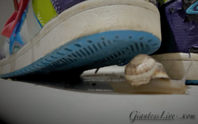 GiantessLive-Caracol_3