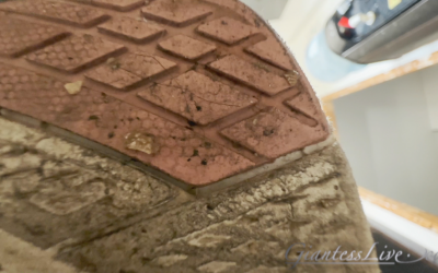 GiantessLive-Snails_2_2