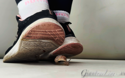 GiantessLive-Snails_2_3