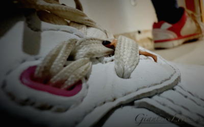 GiantessLive-survives_inside_his_sneakers-3